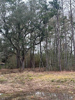 TRACT JB-4 GEORGE WHITE ROAD, HOLDEN, LA 70744, photo 3 of 11