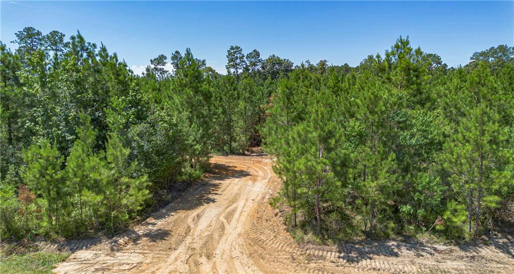 LOT 1 TEN MILE ROAD, PITKIN, LA 70656, photo 1 of 9