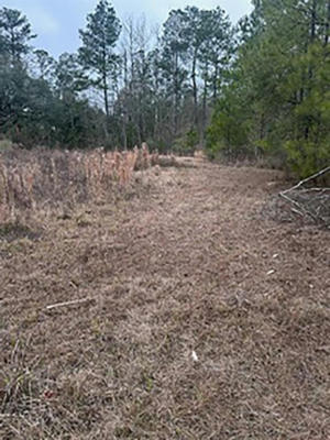TRACT JB-4 GEORGE WHITE ROAD, HOLDEN, LA 70744, photo 2 of 11