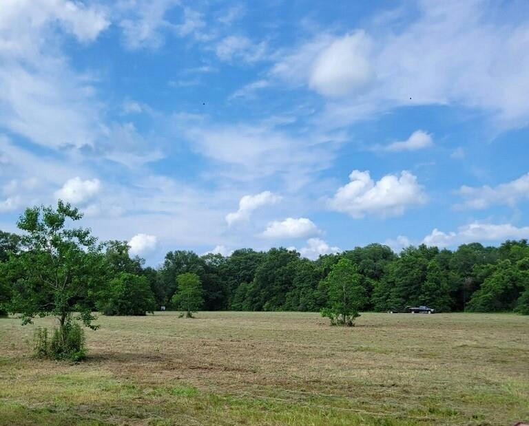 LOT 1-D3 ED YATES ROAD, PEARL RIVER, LA 70452, photo 1 of 2